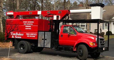 tree service cape coral|tree removal cape cod ma.